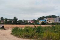 pengelolaan lahan di kawasan dekat Patam Lestari, Kecamatan Sekupang, Kota Batam