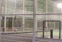 Lapangan Padel di Kawasan Perumahan Royal Bay, Batam