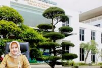 Direktur Rumah Sakit Umum Daerah (RSUD) Kota Batam, RR Sri Widayanti Suryandari