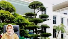Direktur Rumah Sakit Umum Daerah (RSUD) Kota Batam, RR Sri Widayanti Suryandari