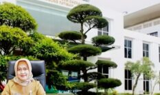 LHKPN Direktur RSUD Batam, Total Kekayaan Capai Rp2,17 Miliar