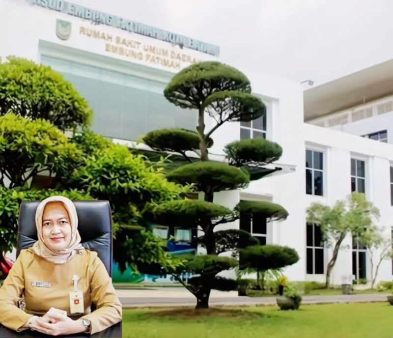 Direktur Rumah Sakit Umum Daerah (RSUD) Kota Batam, RR Sri Widayanti Suryandari